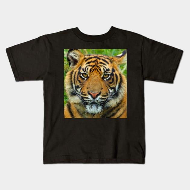 Tiger Face Mask Kids T-Shirt by DesignCat